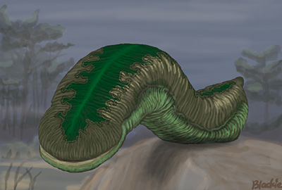 野槌のイラスト