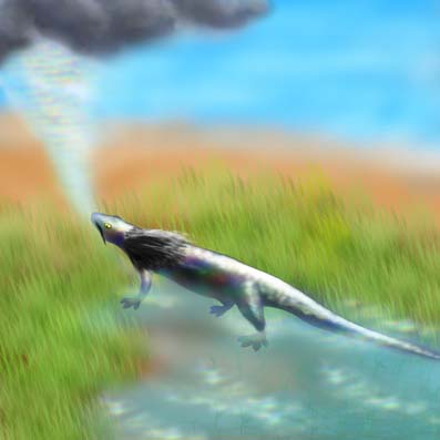 イピリヤのイラスト